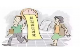 上海嘉定区讨债公司哪家好?揭秘优质讨债服务选择指南 上海嘉定区讨债公司哪家好?揭秘优质讨债服务选择指南